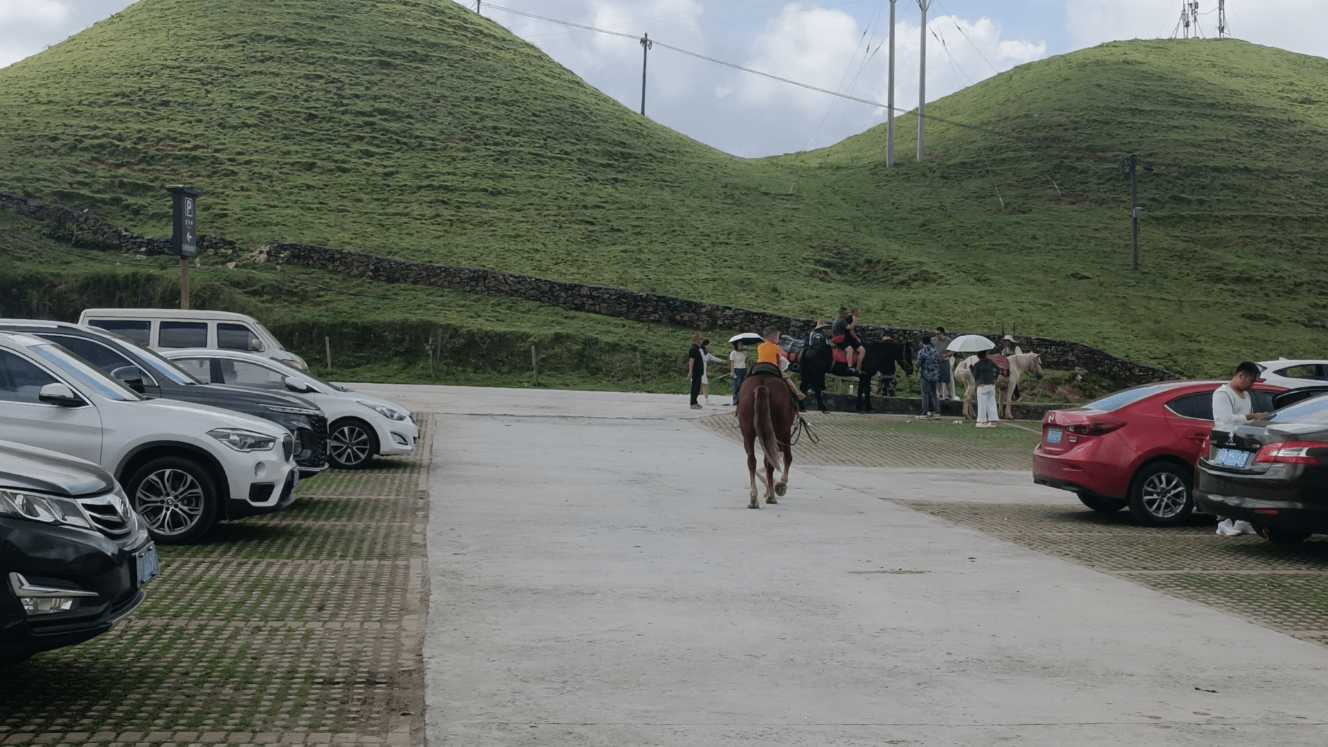 南山牧场紫阳峰